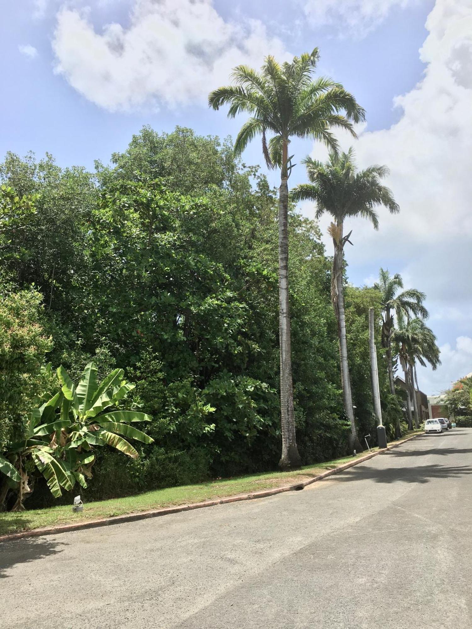Appartement St Francois Manganao Guadeloupe Saint-Francois  Luaran gambar